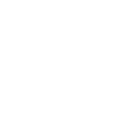circle icon 